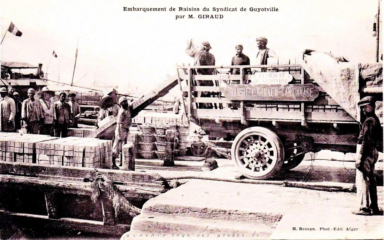 1650- Guyotville - Embarquement du raisin.jpg